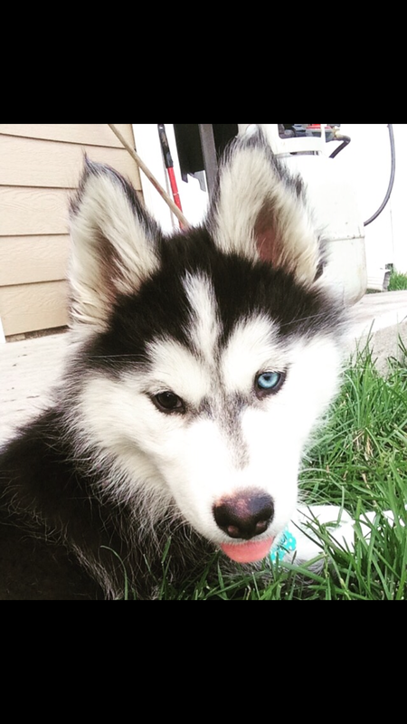 Kiya 