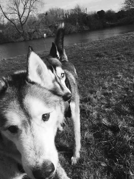 Kobi and Skye