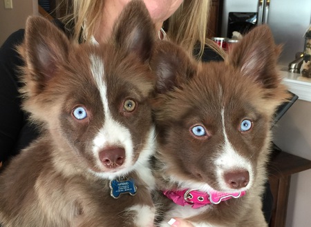 Coco and Louis