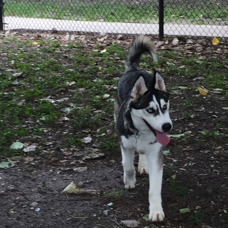 Max