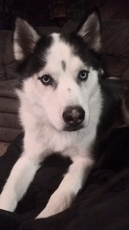 Mollie
