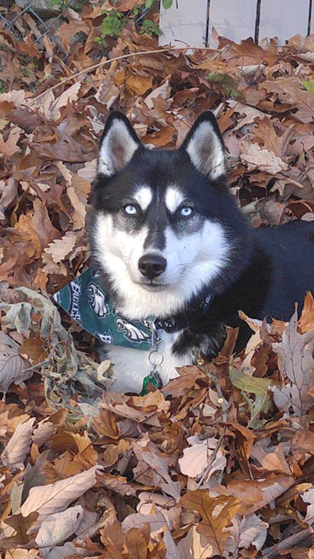 Luna