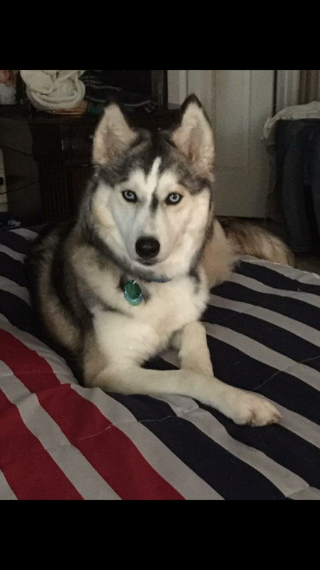 Nina