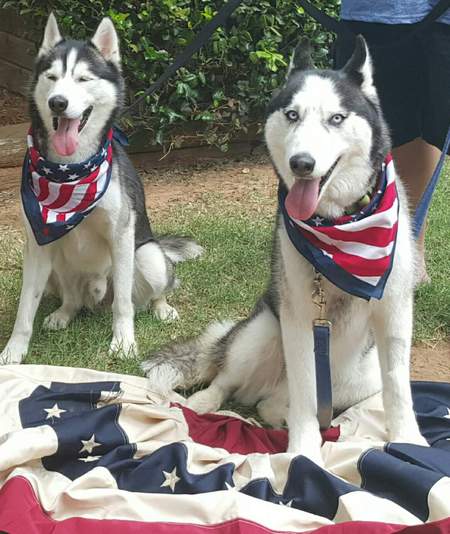 Blitzen & Bandit