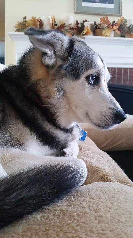Luna