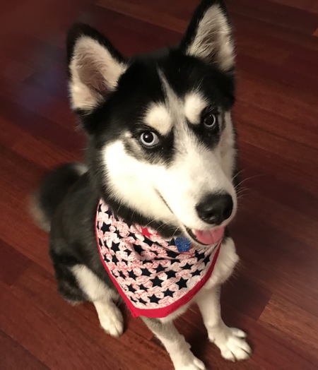 Zeus 