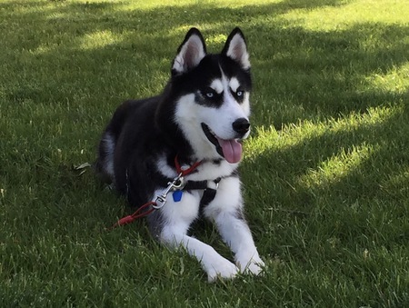 Zeus