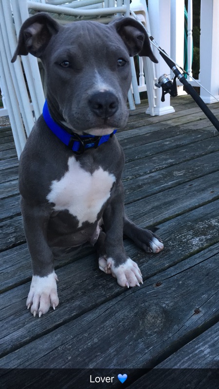 Blu