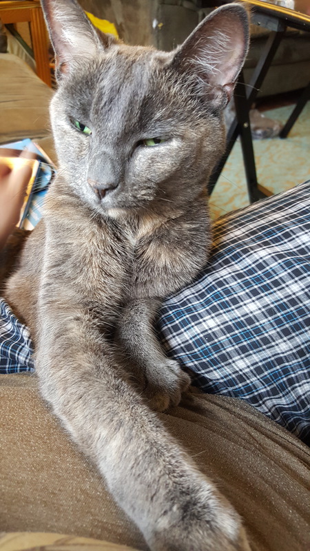 Nala Nermal Fluffbottom Templeton