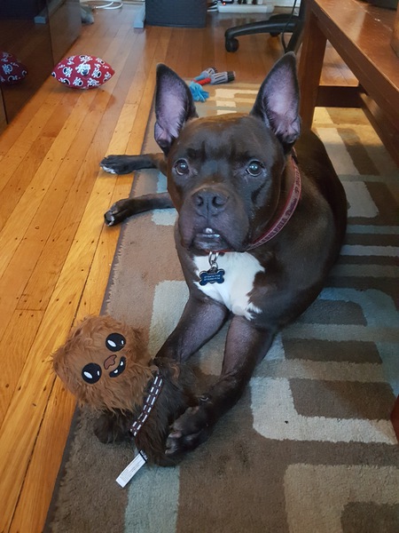 Franklin