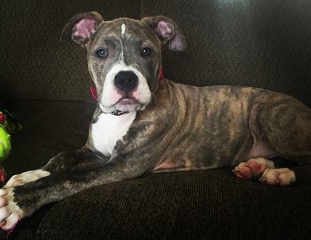 Luna 