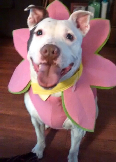 Zoey