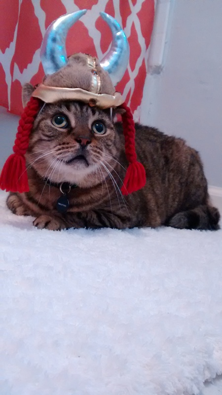 Finklepuss aka Rhoda Von Bon$worth Merriwether Honey