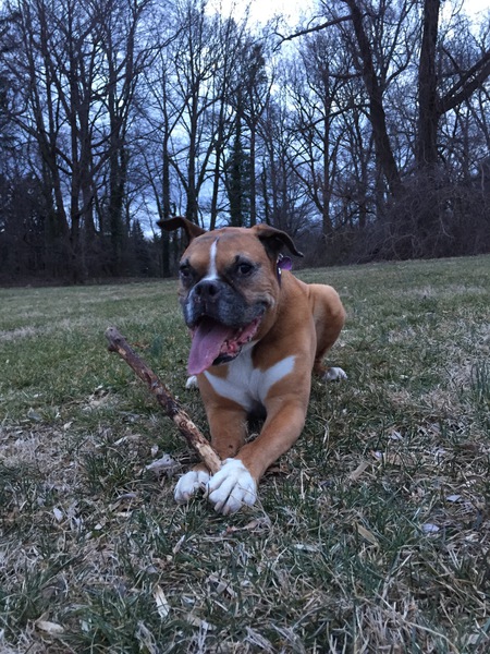 Zoe