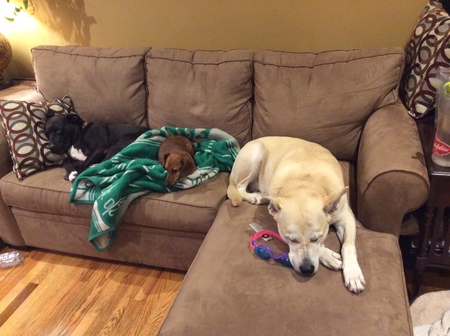 Betty, Greta and Traynor
