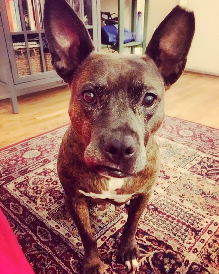 Lila Penelope