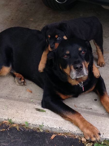 Rocco and Lois