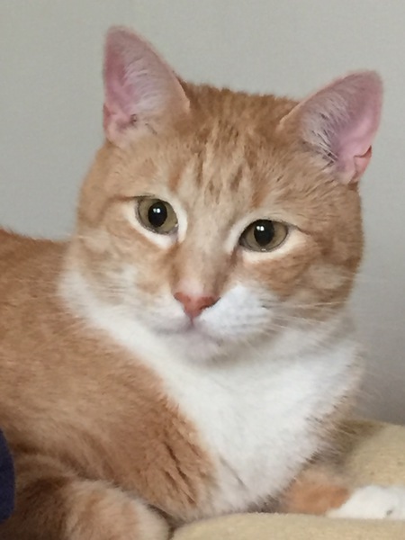 Lenny