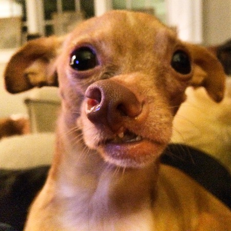 Phineas aka "Phin"