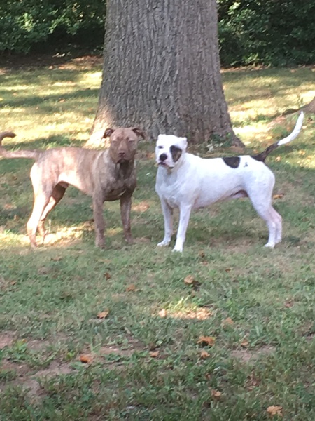 Doc and Cleo