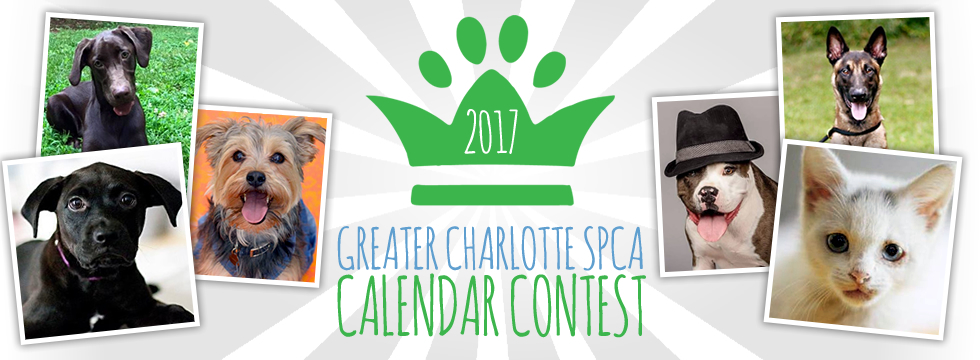 Banner for 2017 Greater Charlotte SPCA Calendar Contest
