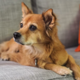 Entry image for Madonna