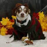 Entry image for Diego Muscato