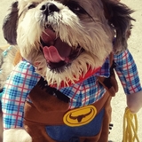 Entry image for Ralphie