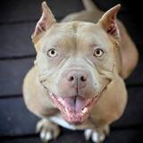 Entry image for Maggie Sa Griner