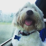 Entry image for Kirby