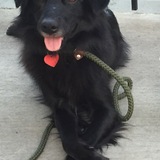 Entry image for Raina