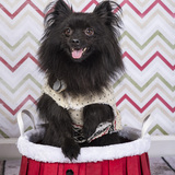 Entry image for Milo