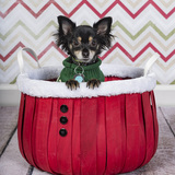 Entry image for Gizmo