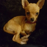 Entry image for Liam