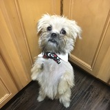 Entry image for E.T.