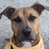 Entry image for Marni 