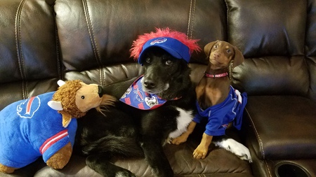 Entry image for Porscha and Jordan. Clicking this image will show a larger photo