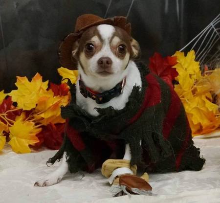 Entry image for Diego Muscato. Clicking this image will show a larger photo