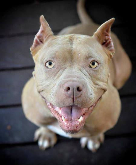 Entry image for Maggie Sa Griner. Clicking this image will show a larger photo