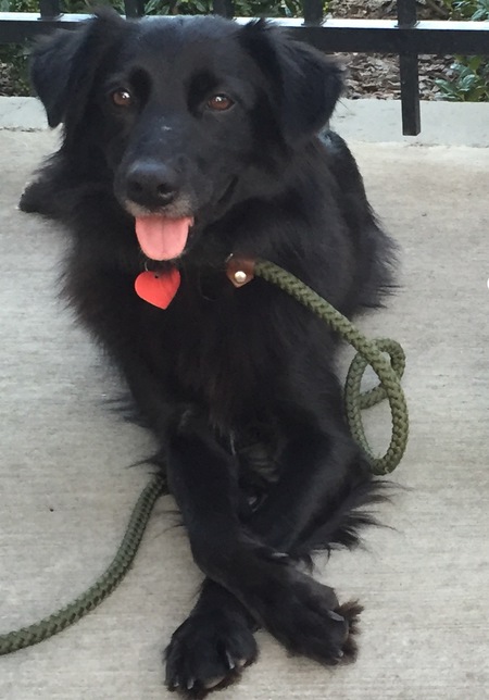 Entry image for Raina. Clicking this image will show a larger photo