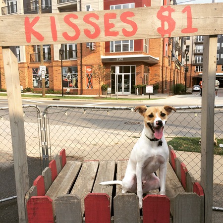 Entry image for Fozzy. Clicking this image will show a larger photo