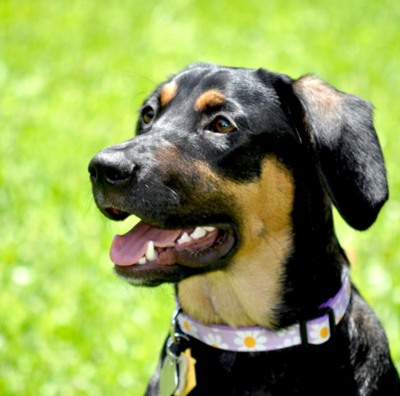 Entry image for Kaia. Clicking this image will show a larger photo