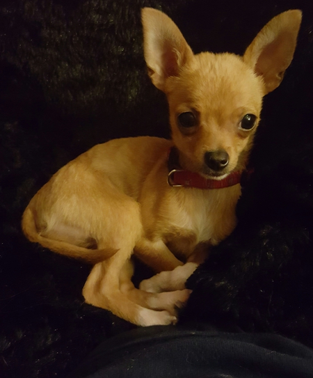 Entry image for Liam. Clicking this image will show a larger photo