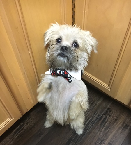 Entry image for E.T.. Clicking this image will show a larger photo