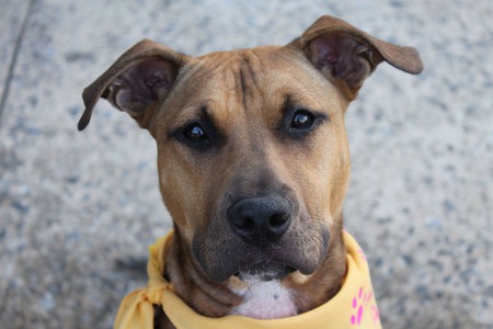 Entry image for Marni . Clicking this image will show a larger photo