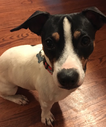 Entry image for Pat. Clicking this image will show a larger photo