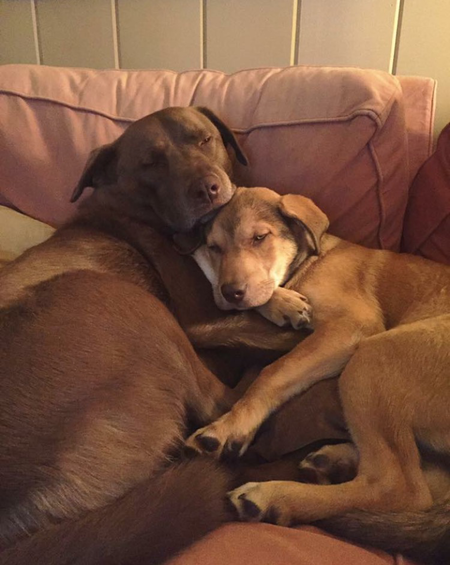 Moe & Koda