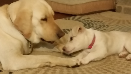 Milton and Daisy 
