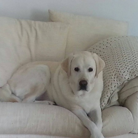 Charlie