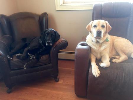 Solly and Daisy